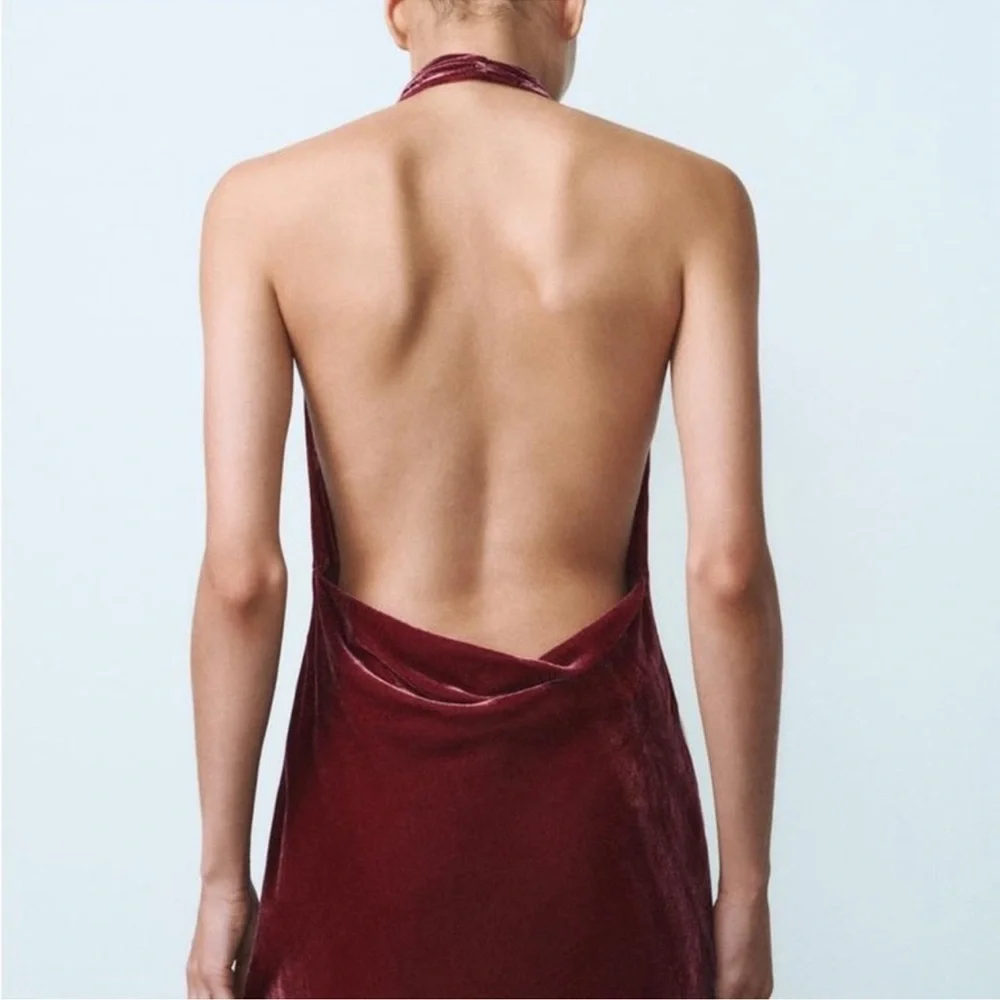 NWOT Zara Raspberry Pink Velvet Maxi Dress Halter Neck Open Back Size XS - Picture 6 of 9